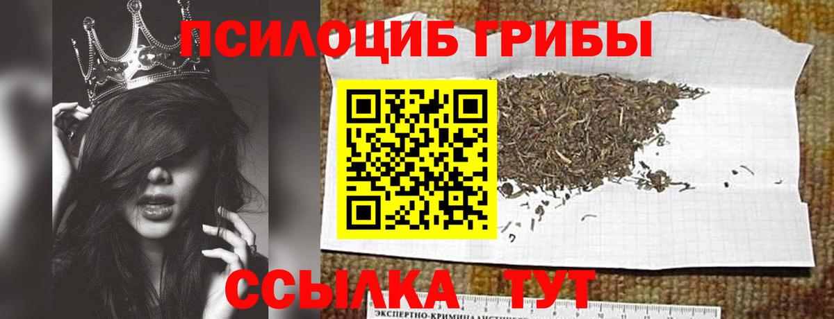 Псилоцибиновые грибы Cubensis Мелеуз